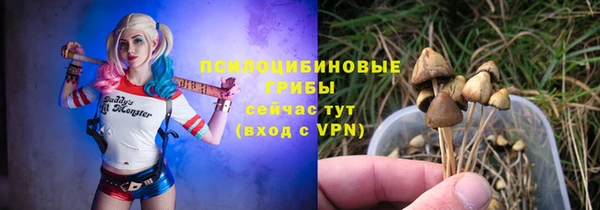 apvp Михайловка