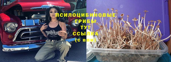 apvp Михайловка