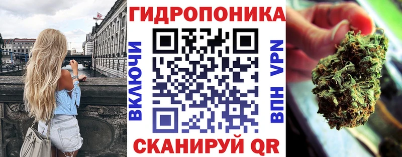 Конопля Bruce Banner  Купить  Краснокаменск 
